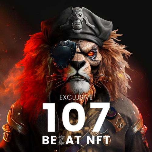 nft-collection